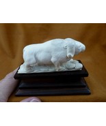 musk-7 white Musk Ox of shed ANTLER figurine Bali detailed carving Arcti... - £96.68 GBP