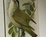 Arm &amp; Hammer Goldfinch Victorian Trade Card VTC 5 - £3.15 GBP