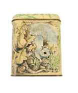 Hallmark Tin Square Savings Coin Bank Woodland Squirrel Beaver Racoon 3X3X4 - $12.99