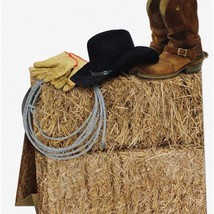 Wild West Desert Dreams 3-D Tabletop Cowboy Centerpiece - Perfect for Ol... - $405.79 MXN