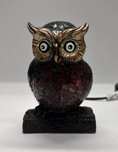 Nightlight Light Up Owl - 8&quot; Tall Cute - £33.40 GBP