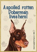 A spoiled rotten Doberman lives here! Nice Fridge Locker Dog Magnet 2.5X... - £3.98 GBP