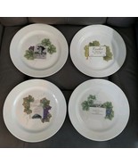 4 Wedgwood Grand Gourmet Vintage Collection Wine Theme 10&quot; Dinner Plates... - €42,63 EUR