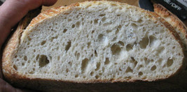 Best San Francisco Sourdough Starter &quot;Sally&quot; + Many Recipes - £7.11 GBP