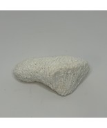 Natural BRAIN CORAL Fossil Ocean  Specimen 6&quot; x 3&quot; x 3&quot; 15 Ounce - €20,58 EUR