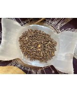 .5 oz Rue Seeds, Evil Eye, Protection, Break Curses and Hexes, Protect All Herb - $1.70