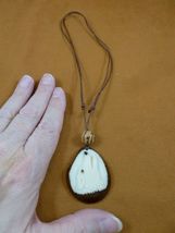 tne-wol-773b) white howling Wolf TAGUA NUT Necklace Vegetable wild dogs - $29.99