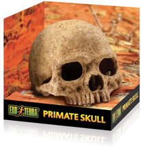Exo Terra Primate Skull Terrarium Decoration: Realistic Hide with Multiple Entra - £28.43 GBP
