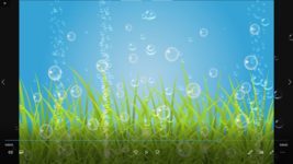 Bubbles Everywhere smp - $1.25