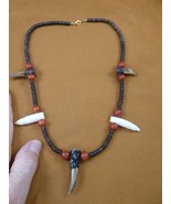 G162-301 1-1/2" Alligator Tooth + 3 claw TOE red coral + water buffalo N... - €54,97 EUR G162-301 1-1/2" Alligator Tooth + 3 claw TOE red coral + water buffalo N... - €54,97 EUR