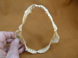 sj470-255) 4-3/4" Tiger SHARK jaw sharks jaws teeth taxidermy educational - $31.99