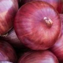 USA SELLER 50 Red Geneva Cipollini Onions seeds 7 Free Shipping - £11.61 GBP