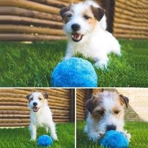 Brite Pet Mop Ball - $475.34 MXN