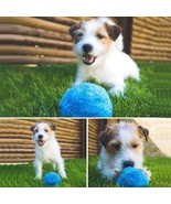 Brite Pet Mop Ball - $34.15 CAD