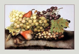 Grapes and Pears with a Snail by Giovanna Garzoni - Art Print - $21.99+