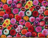 Cotton Dahlias Multi-Color Flowers Floral Garden Fabric Print by Yard D4... - $11.95