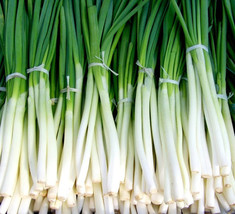 300 pcs Evergreen Nebuka Bunching Onion Japanese Allium Vegetable Seeds - £7.07 GBP