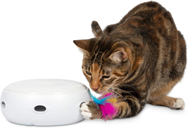 Petfusion Ambush Interactive Cat Toys for Indoor Cats - New &amp; Improved Cat Feath - £30.24 GBP