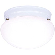 Westinghouse Lighting 66699 WESTINGHOUSE, One Light White - £25.47 GBP