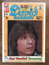 DAVID CASSIDY #11 VF 8.0 White Pages ! Bright Colors ! Exceptional Spine !  - £19.87 GBP