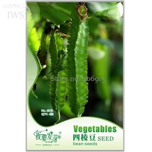 20 Seeds Psophocarpus tetragonolobus seed Fresh Asian winged bean Vegeta... - £23.20 GBP