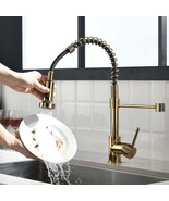 Black &amp; Gold Kitchen Faucet with Sprayer - $176.42 CAD