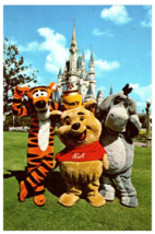 Winnie the Pooh Tigger and Eeyore Fantasyland Walt Disney World Florida Postcard - £28.71 GBP