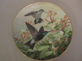 Hummingbird &quot;Drinking Nectar&quot; Collector Plate Anthony Rudisill Birds Countryside - £28.77 GBP