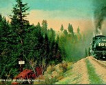 Paymaster Tree on Oregon OR Short Line Railway Railroad RR UNP 1910s Pos... - $4.05