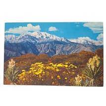 Postcard Springtime On The Desert Flowers Chrome Posted - £5.48 GBP