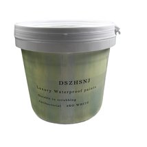 DSZHSNJ Waterproof paints, 2kg, Odorless, with Brush / Paint Roller / Sandpaper - £29.65 GBP
