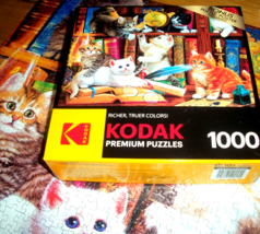 Jigsaw Puzzle 1000 Pieces Kittens Library Mischief Kodak Colorful Complete - £11.09 GBP