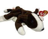 Ty Beanie Babies Bruno the Dog dob September 12 1997 Creased Paper Hang tag - $12.34