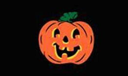 PUMPKIN 3 X 5 FLAG 3x5  FL344 halloween pumpkins novelties SIGNS banners... - $6.64