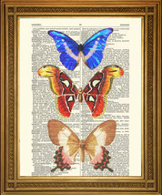 Butterflies Dictionary Print: Antique Paper Art Gift, Blue, Red, Gold! (8x10&quot;) - £6.27 GBP