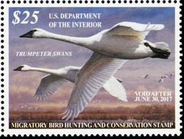 RW83, VF Mint NH 2016 Trumpeter Swans Federal Duck Stamp - Stuart Katz - $85.00