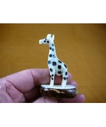 (TNE-GIR-590-b) baby African GIRAFFE TAGUA NUT Figurine VEGETABLE Art - $644.29 MXN