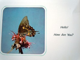 Mid Century A Sunshine Religious Card Butterfly Hello How Are You Card 1... - $0.99
