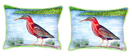 Pair of Betsy Drake Green Heron II Small Outdoor Pillows 11X 14 - £55.55 GBP