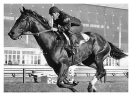 Damascus American Champion Racehorse On Track 1967 5X7 Photo - £6.68 GBP