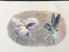 M95 - Ceramic Waterslide Vintage Decal - 1 Hummingbird - 2.5&quot; - $23.79 MXN