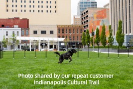 Item image 15