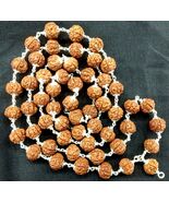 Rudraksha Chikna (Pathri) Beads Mala in Pure Silver - 11mm - 54Beads - C... - $311.21 CAD