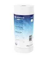 Pentair OMNIFilter RS18 Sediment Water Filter, 10-Inch, Whole House Heav... - $415.62 MXN