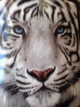 Raschel Throw Blanket, 50&quot; X 60&quot;, &quot;White Face Tiger&quot; From The American Heritage - £25.07 GBP