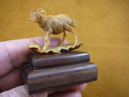 (TB-RAM-2) tan Mountain Ram sheep tagua nut figurine Bali detailed carvi... - £39.09 GBP