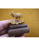 (TB-RAM-2) tan Mountain Ram sheep tagua nut figurine Bali detailed carvi... - $67.33 CAD