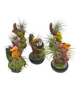 Collectible Resin Tropical Animals Air Plant Sculpture Tillandsia Plante... - $52.26 CAD
