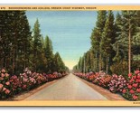 Rhododendron and Azaleas Oregon Coast Highway OR Linen Postcard N26 - $2.92