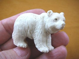 (bear-9) polar Grizzly bear of shed ANTLER figurine Bali detailed carvin... - £65.00 GBP